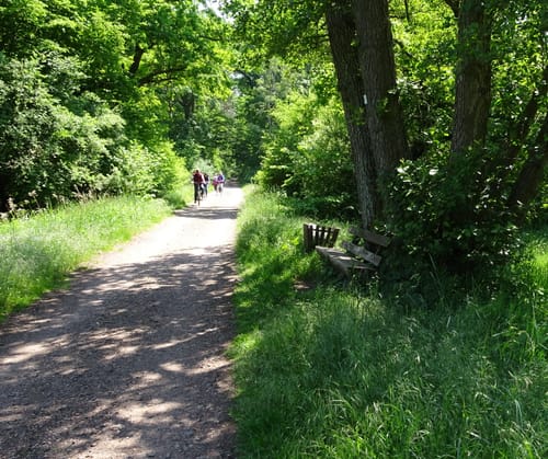 Von Rauenberg nach Haßloch