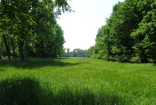 Von Rauenberg nach Haßloch