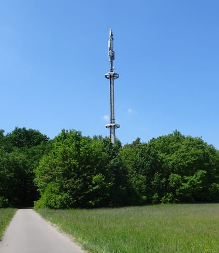 Von Rauenberg nach Haßloch