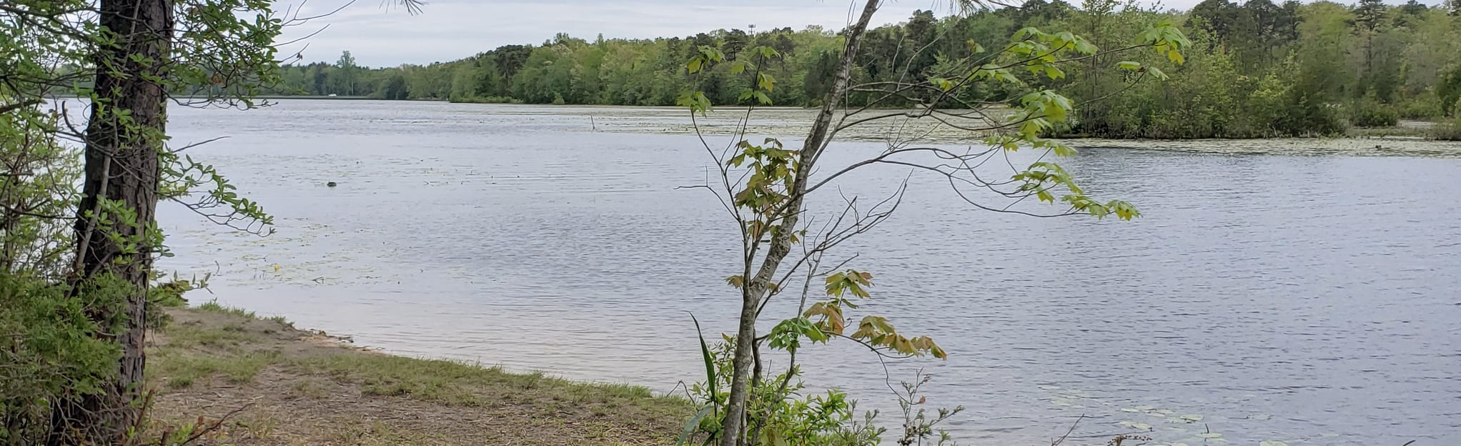 Malaga Lake Nature Trail, New Jersey 91 Reviews, Map AllTrails