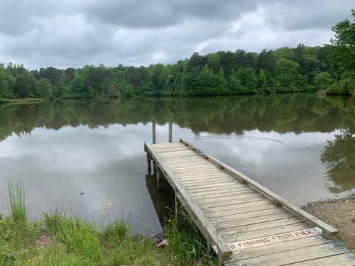 2023 Best Walking Trails in Powhatan Wildlife Management Area AllTrails