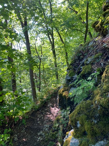 Albtraufgänger Etappe 5: Geislingen - Bad Ditzenbach