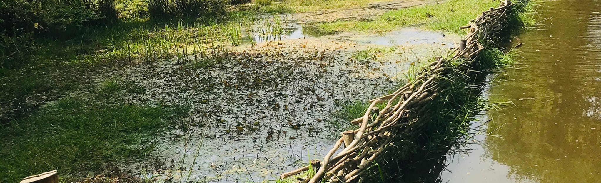 Nower Wood and Headley Heath Circular 11 Reviews, Map Surrey