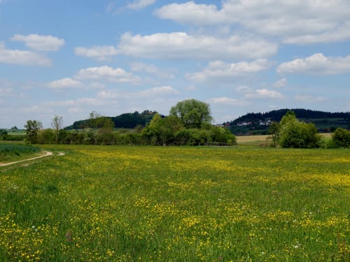 Thalmässing 1