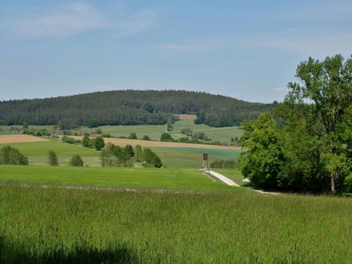 Thalachtal Panoramaweg (Premiumwanderweg)