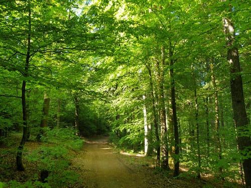 Radroute Hilchenbach