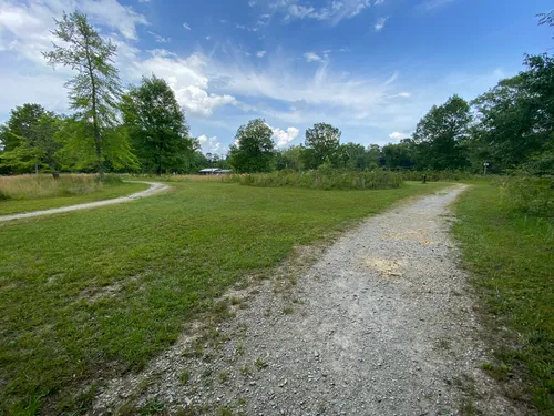 Best Kid Friendly Trails in Harrison | AllTrails