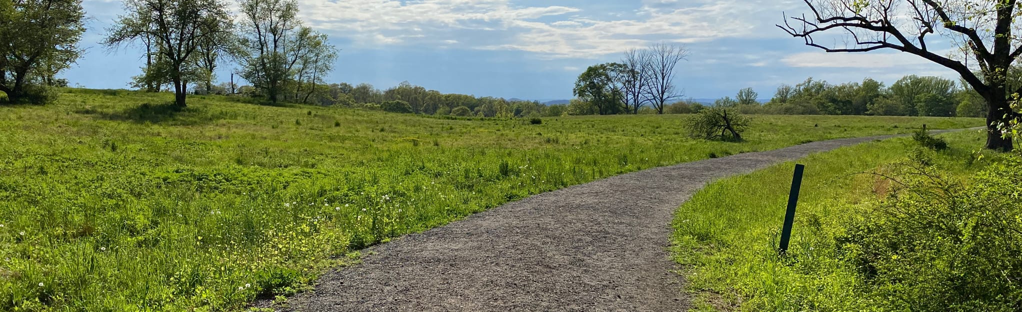 Buttermilk Hill Loop 281 Reviews, Map New York AllTrails