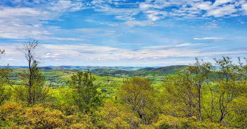 norvin green state forest trail map