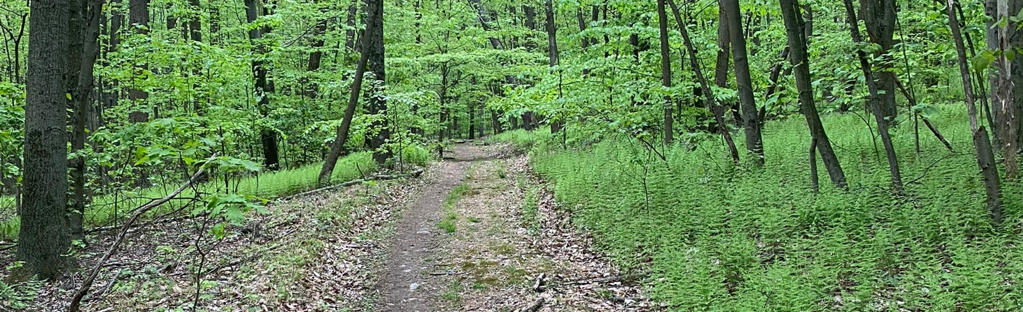 Darlington Trail Lambs Gap Road to Tower Road, Pennsylvania 108