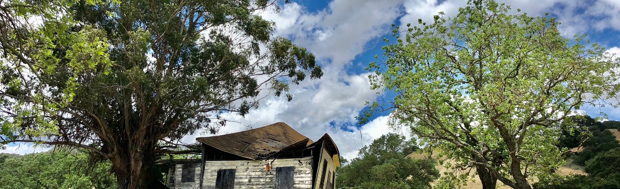 Old Finley Road, Highland Ridge, Black Hills and Sulphur Springs Loop