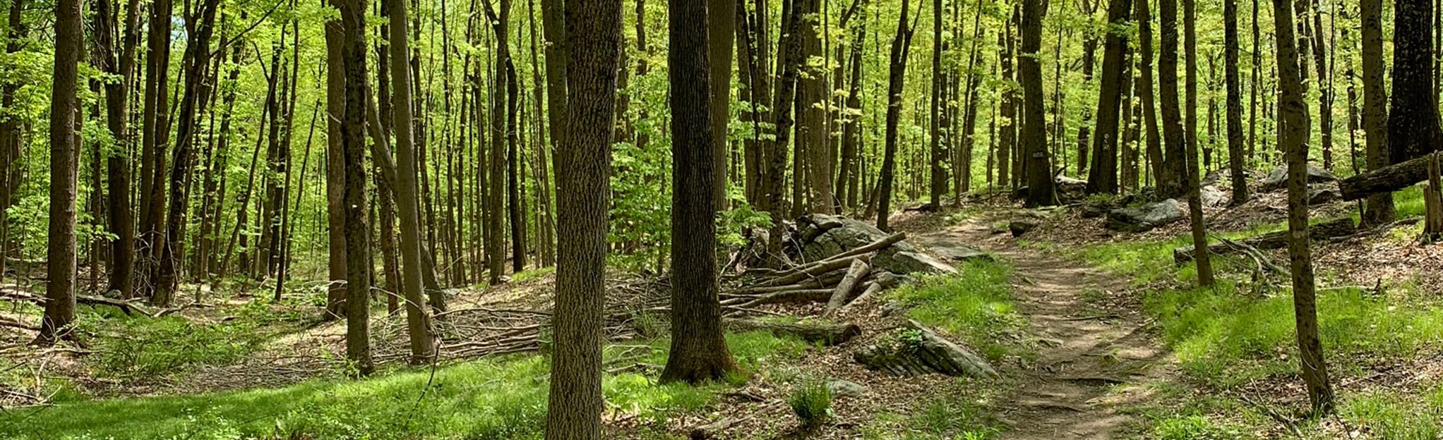 Jump Hill Peter’s Trail Loop, Connecticut 70 Reviews, Map AllTrails