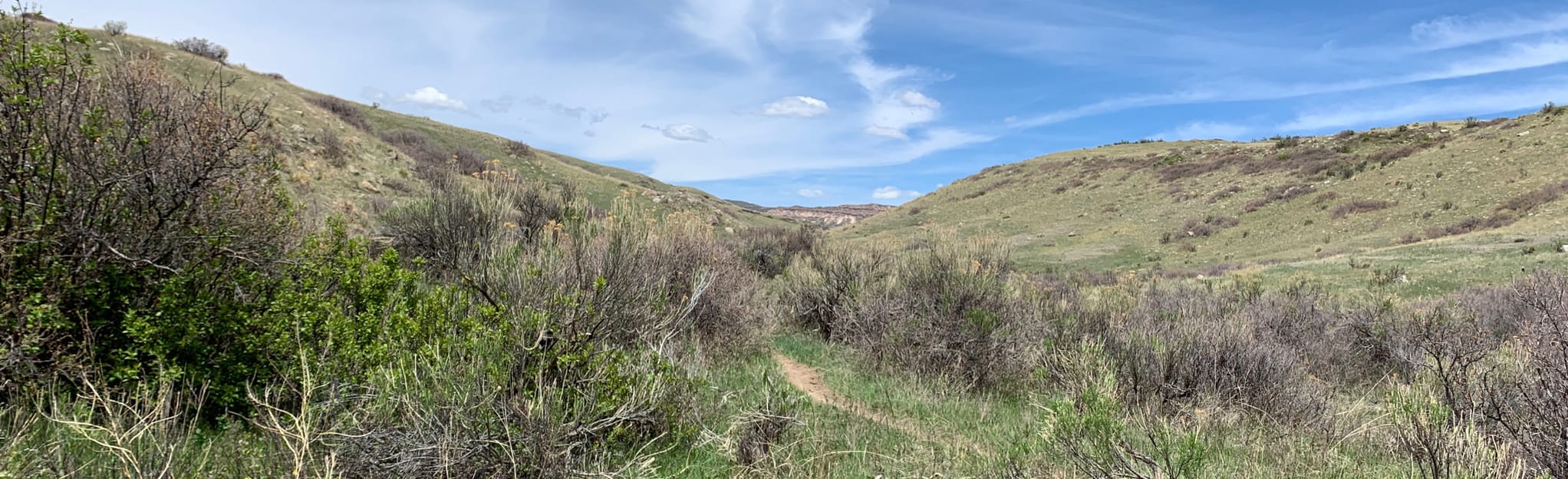 Cheyenne Rim Trail, Colorado - 44 Reviews, Map | AllTrails
