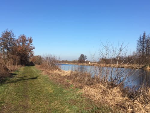 66-Seen-Rundweg Etappe 2: Marquardt - Brieselang