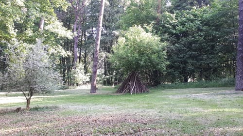 Laufstrecke Hildener Stadtwald: Reh