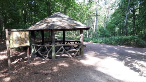 Laufstrecke Hildener Stadtwald: Reh