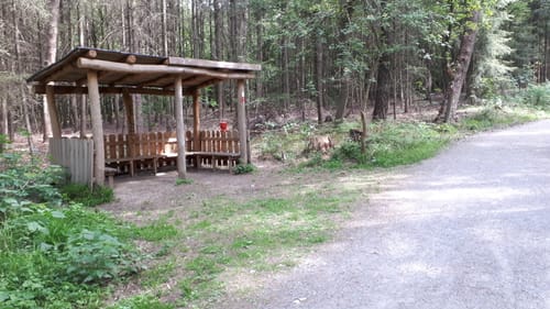 Laufstrecke Hildener Stadtwald: Reh