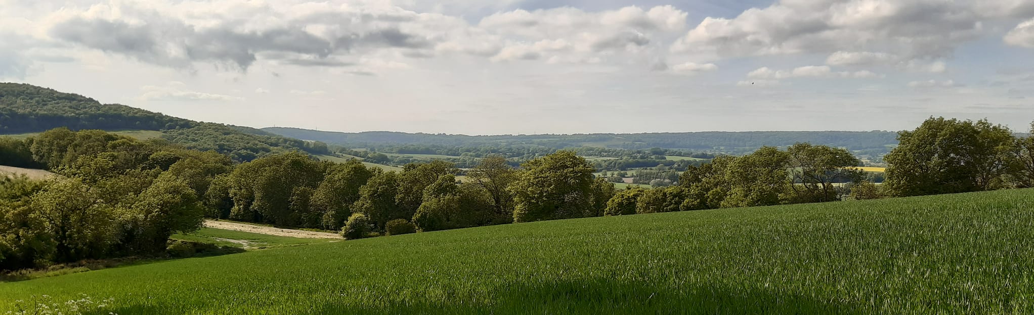 Queen Elizabeth Country Park and West Leigh Circular 14 Reviews, Map