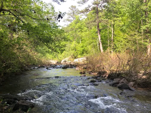 10 Best forest trails in DeSoto State Park | AllTrails