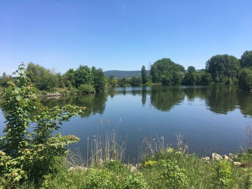 Radtour: Schlüsselau - Stiebarlimbach