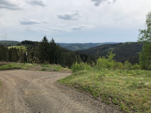 Lamitzpfad (FrankenwaldSteigla)