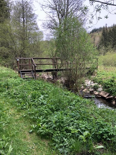Lamitzpfad (FrankenwaldSteigla)