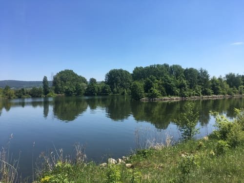 Hallerndorf Radtour: Stierbarlimbach, Greuth, Weppersdorf