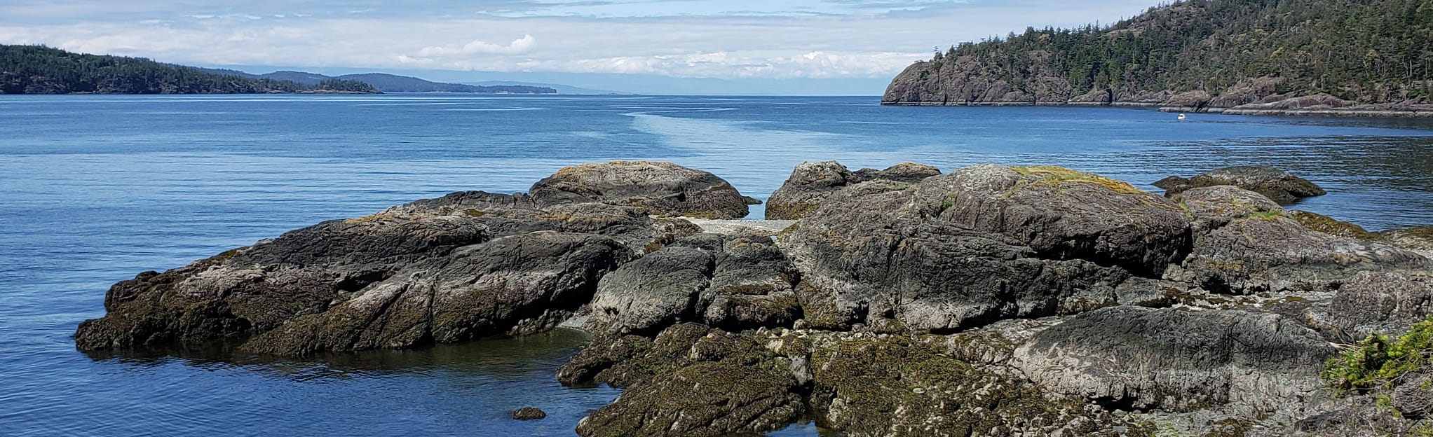 The Beach at South Texada Island Provincial Park, British Columbia