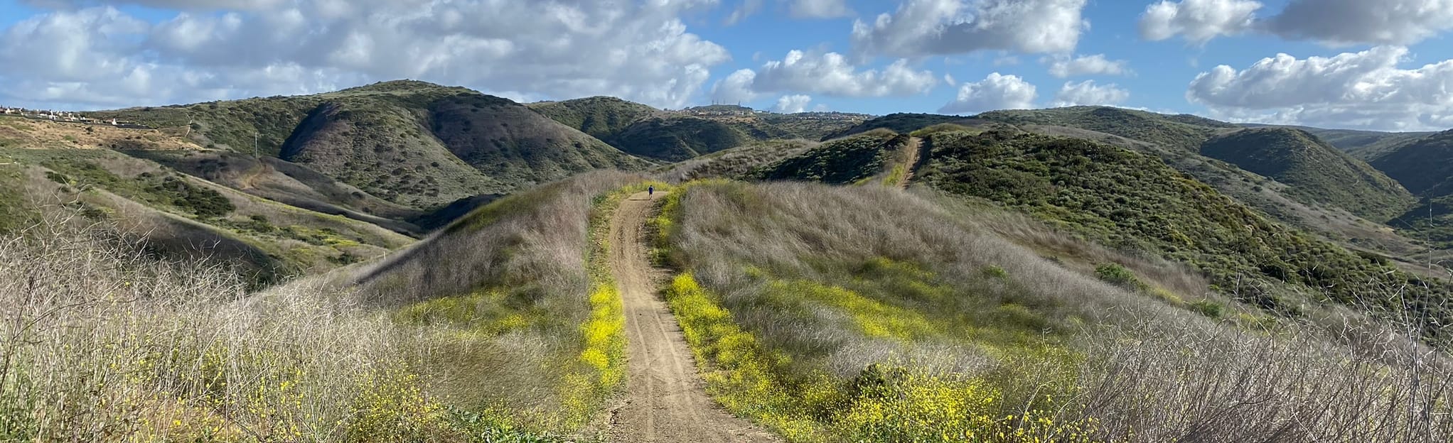 Rattlesnake Loop Trail California - EyJidWNrZXQiOiJhc3NldHMuYWxsdHJhaWxzLmNvbSIsImtleSI6InVwbG9hZHMvcGhvdG8vaW1hZ2UvMjY1MjY3NjYvYWJmYjU3YWIwN2ZkNjY5NzlkOGQ3NTI4MDcyZjVhOGQuanBnIiwiZWRpdHMiOnsidG9Gb3JtYXQiOiJqcGVnIiwicmVzaXplIjp7IndpZHRoIjoyMDQ0LCJoZWlnaHQiOjYyNCwiZml0IjoiY292ZXIifSwicm90YXRlIjpudWxsLCJqcGVnIjp7InRyZWxsaXNRdWFudGlzYXRpb24iOnRydWUsIm92ZXJzaG9vdERlcmluZ2luZyI6dHJ1ZSwib3B0aW1pc2VTY2FucyI6dHJ1ZSwicXVhbnRpc2F0aW9uVGFibGUiOjN9fX0=