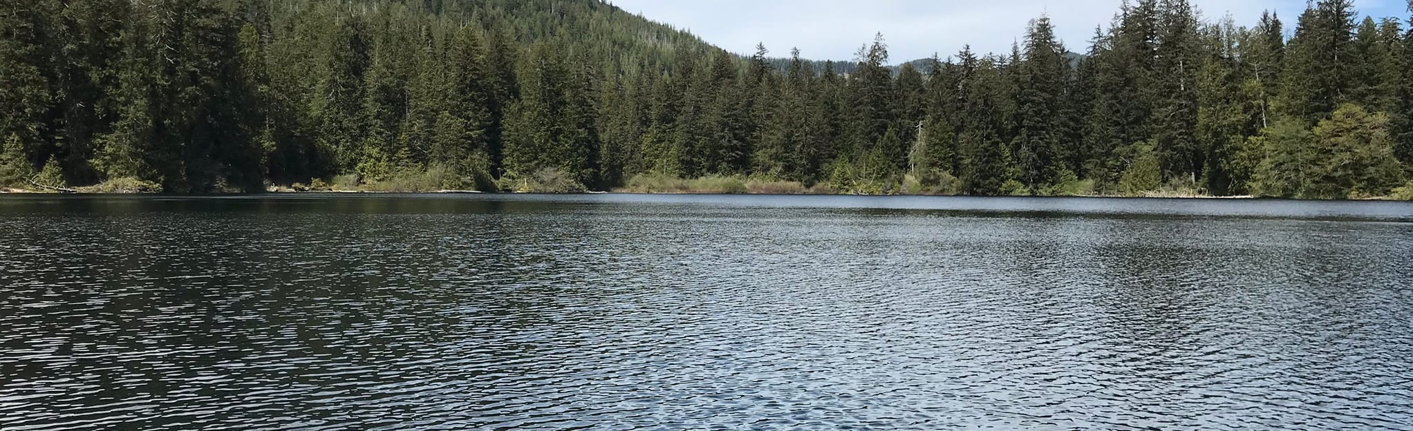 AllTrails Anderson Lake Trail 13 Reviews, Map British Columbia, Canada