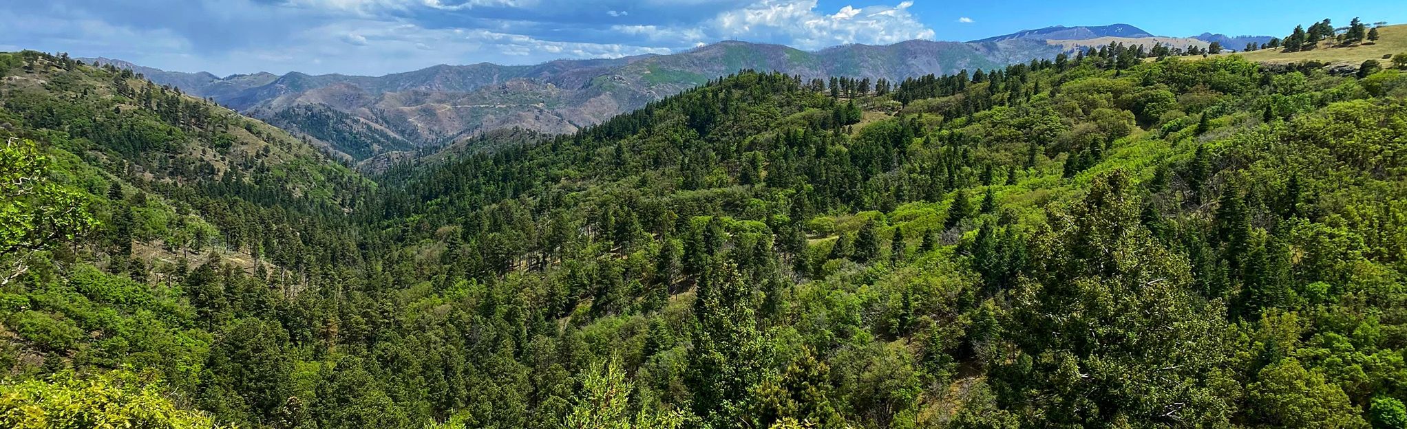 Turkey Canyon, New Mexico 33 Reviews, Map AllTrails