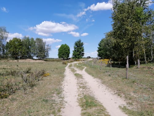 Döberitzer Heide Rundweg