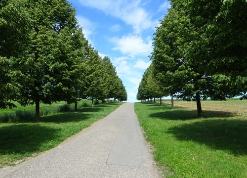 Ins Mauerem und Bammentaler Eisenztal