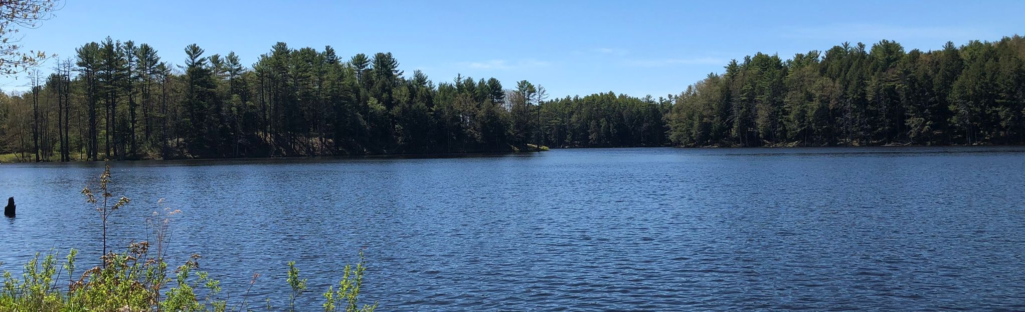 Trout Brook Reservoir Trail Loop, Massachusetts - 20 Reviews, Map 