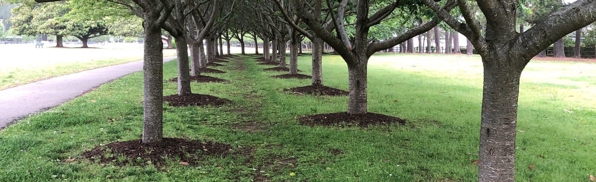 Red Wing Park Gardens Map, Guide Virginia AllTrails