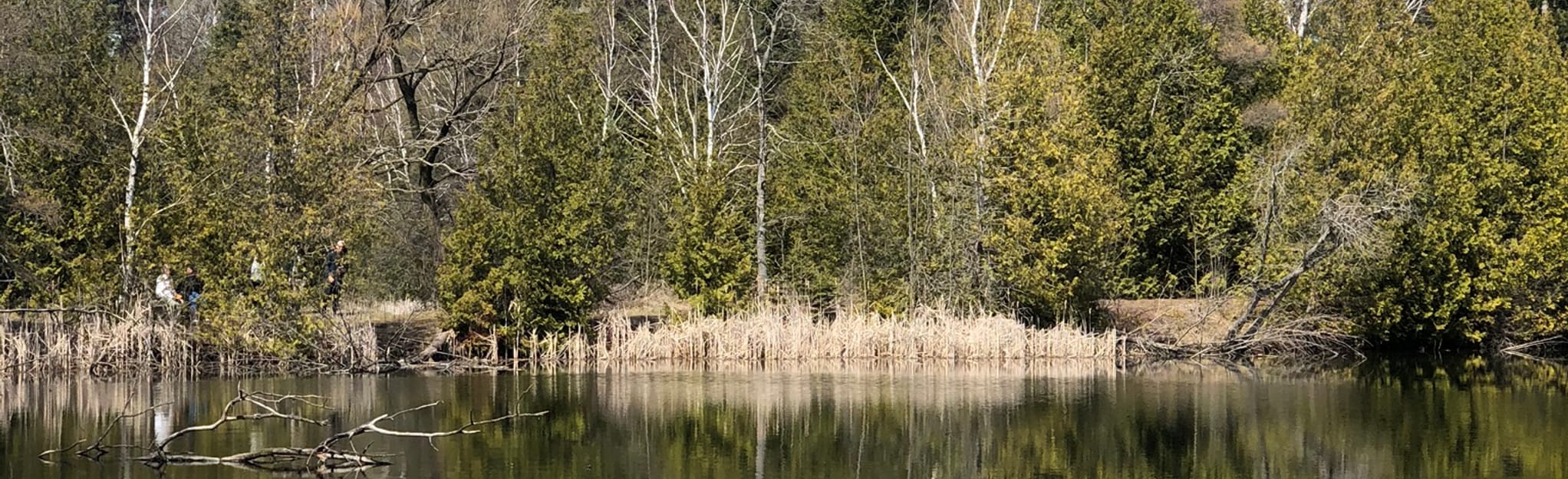 Scout Tract, Ontario, Canada 434 Reviews, Map AllTrails