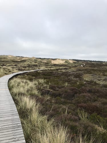 Aus Nebel zum Strand