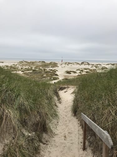 Aus Nebel zum Strand