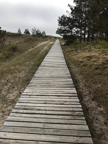 Aus Nebel zum Strand