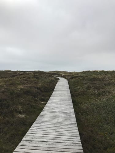 Aus Nebel zum Strand