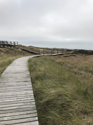 Aus Nebel zum Strand