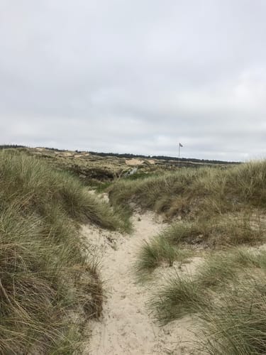 Aus Nebel zum Strand