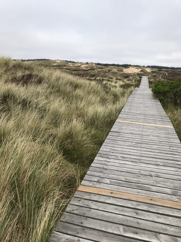 Aus Nebel zum Strand
