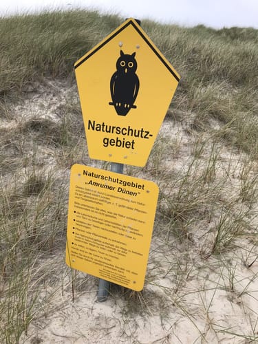 Aus Nebel zum Strand