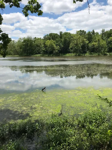 Peaceful Paths: 5 Stunning Hiking Trails in Claremore – Oklahoma
