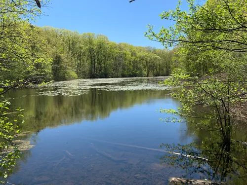 Best Hikes and Trails in Whipple Hill Conservation Lands | AllTrails