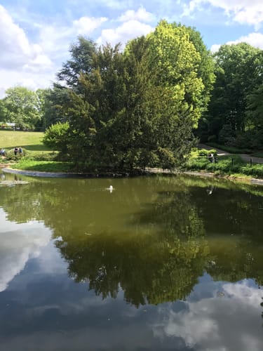 Rundfahrt: Engelsberger Hof - Solingen - Leichingen