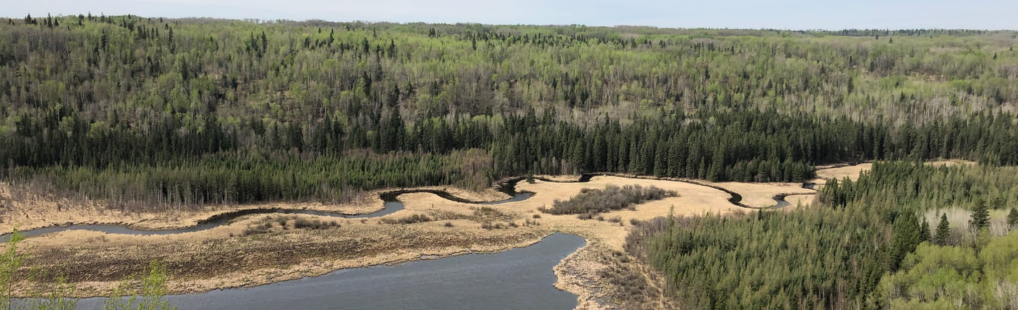 Mount Butte and Battle Lake, Alberta, Canada 30 Reviews, Map AllTrails