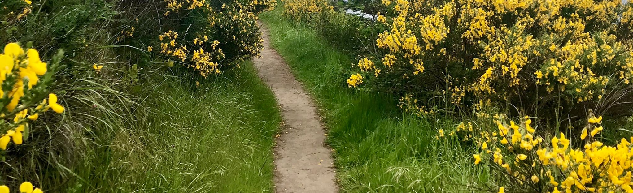 Kettles Trail to Cascadia Marine Campsite 35 Reviews, Map Washington AllTrails