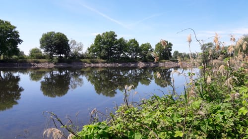 Schloss Frohburg und Naturschutzgebiet Eschefelder Teiche